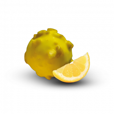 Lemon Crunch Gelato Bites